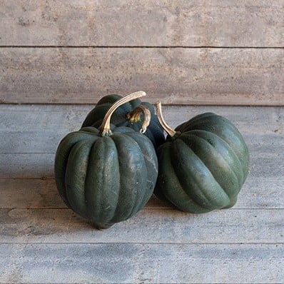 [A-023677-3] Porto Moschata pompoen zaden