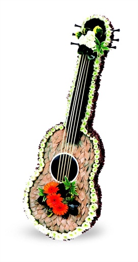 [A-027700] Akoestische gitaar steekschuimvorm oase voor verse bloemen