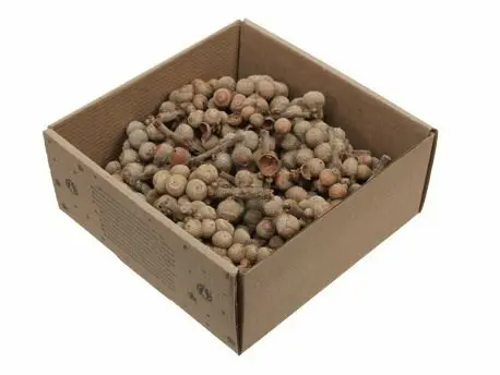 [A-027720] Eikeltjes op Steel Naturel 440 gr