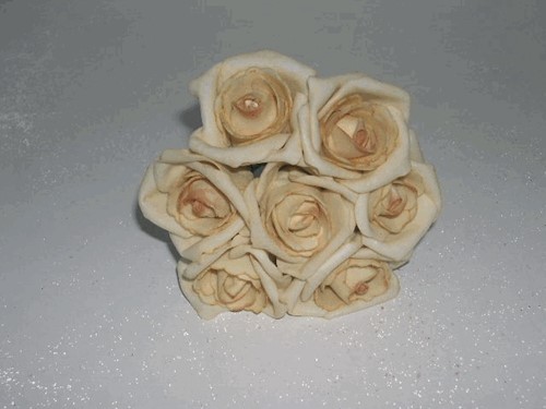 [A-027754] Foamroos Emilia Cava Sand 6 cm doos bundel 7 stuks