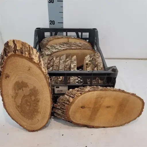 [A-027774] Boomstamschijf Houten Schijf ovaal Eik ca. 25-30 cm Per Stuk