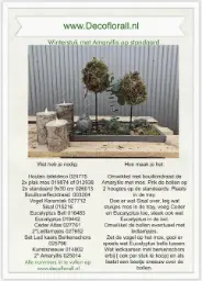 [A-027794] Winterstuk met Amaryllis op standaard Stel zelf je pakket samen