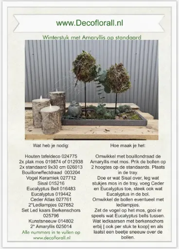 [A-027794] Winterstuk met Amaryllis op standaard Stel zelf je pakket samen