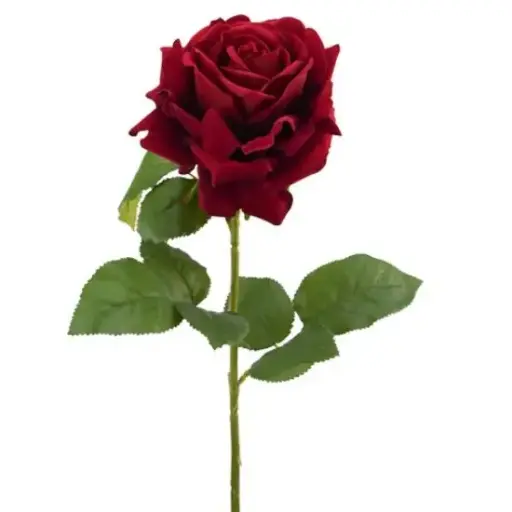 [A-027988] Zijden Roos Luxury Velvet Donkerrood 74 cm per stuk 