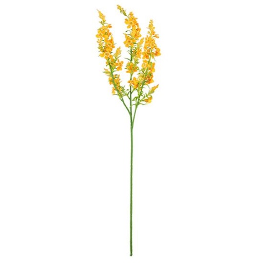 [A-028066] Chloe Kattenmunt Oranje Zijdenbloem 75 cm per stuk