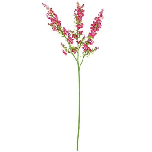 [A-028065] Chloe Kattenmunt Beauty Zijdenbloem 75 cm per stuk
