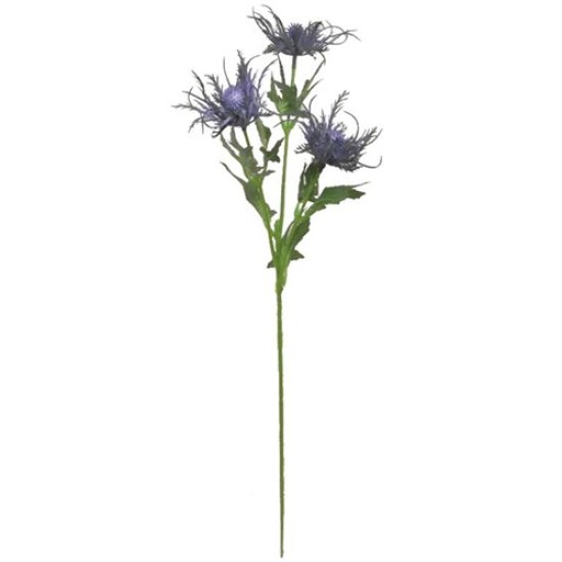 [A-028056] Eryngium Distel Blauw Zijdenbloem 67 cm per stuk