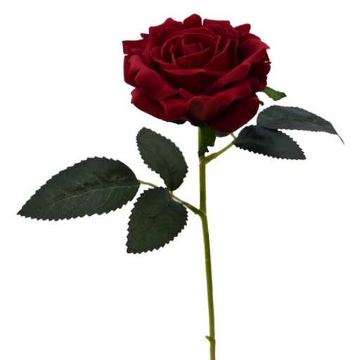 [A-028042] Roos Open Rood Zijdenbloem per stuk