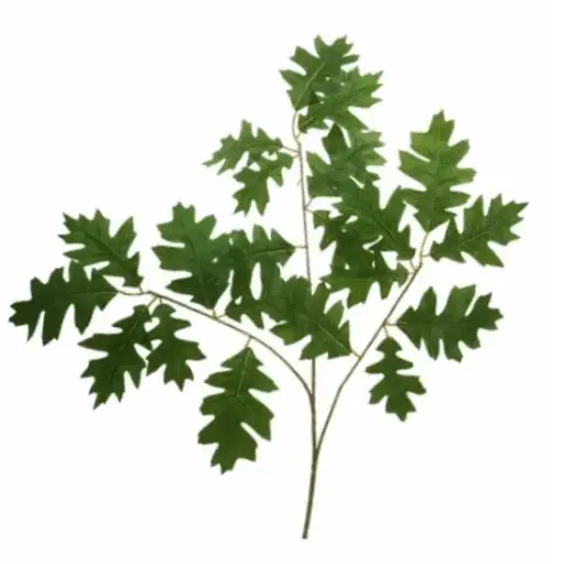 [A-028015] Eikenblad tak Groen 63 cm per stuk