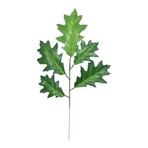 [A-028007] Eikenblad tak Groen 55 cm bundel 6 stuks