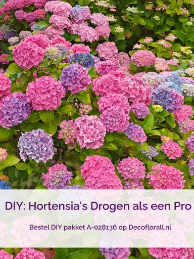 [A-028136] Hortensia Drogen en Conserveren Stel zelf je pakket samen