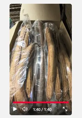 [A-028156] Restantenbox Natuurlijk met lange kaneel 1 Bekijk video voor inhoud   