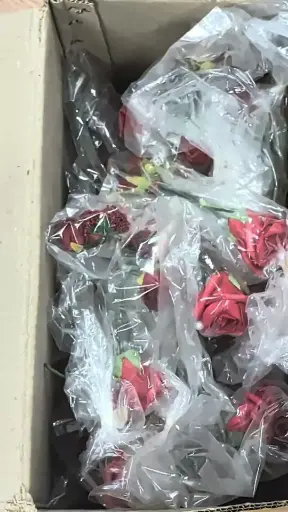 [A-028192] Restantenbox Foamcorsages maken vnl rood Bekijk video voor inhoud  