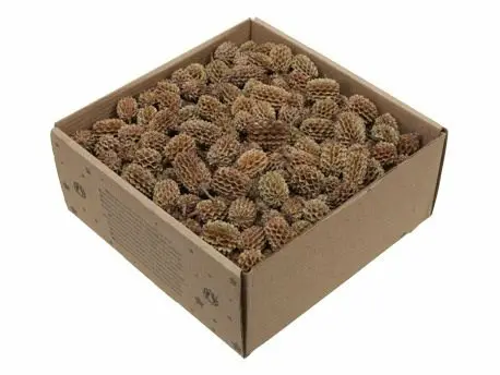 [A-028229] Casuarina Denneappeltjes Naturel ca. 430 gram 