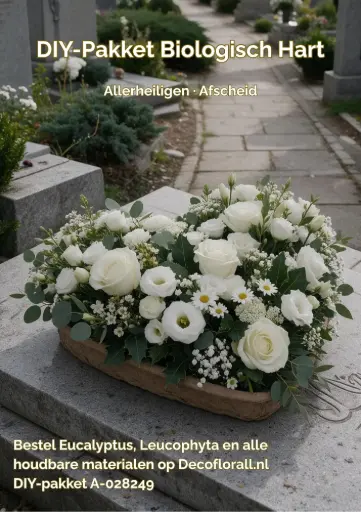 [A-028249] DIY pakket Hart Biologisch afbreekbaar Stel zelf je pakket samen 